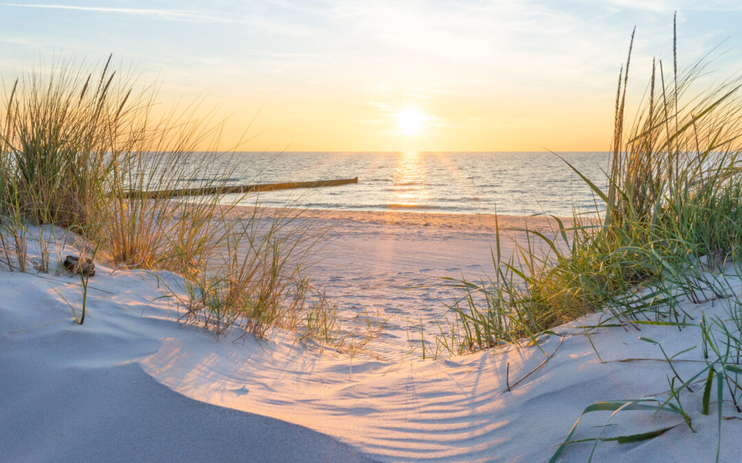 Öffnungszeiten während der Schulferien in 2025 und 2026